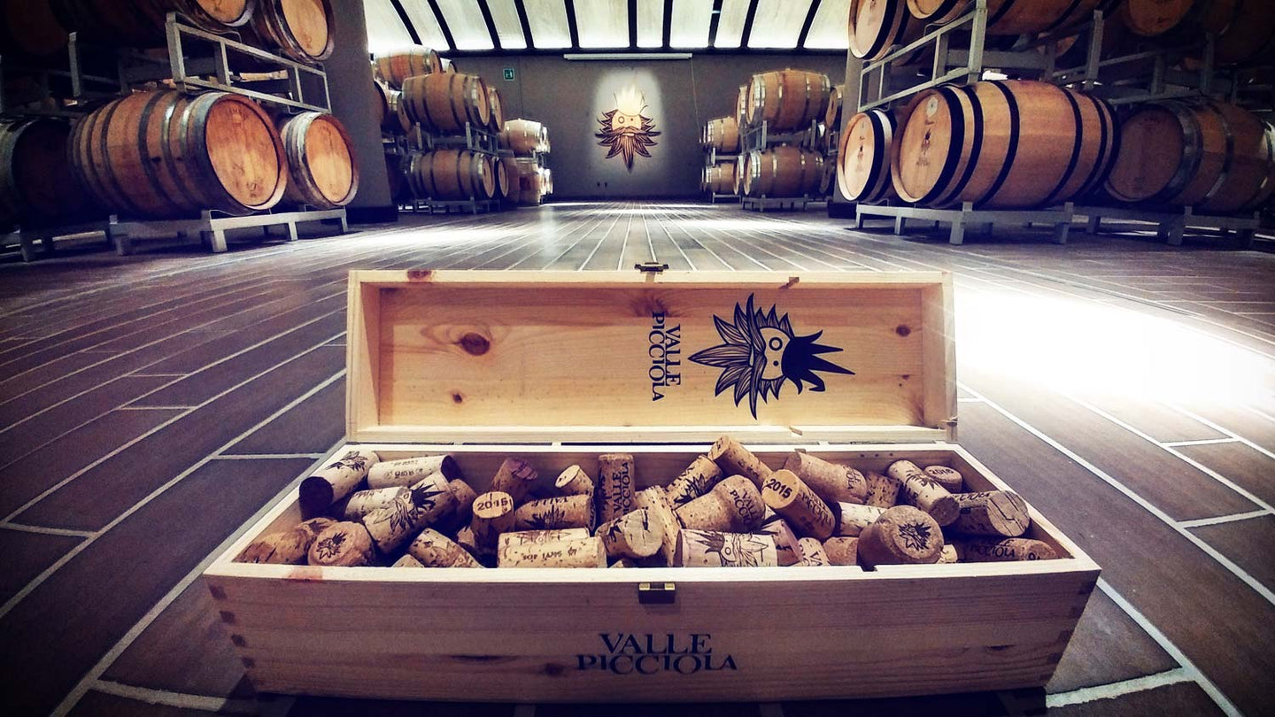 Vallepicciola Wine Box with corks