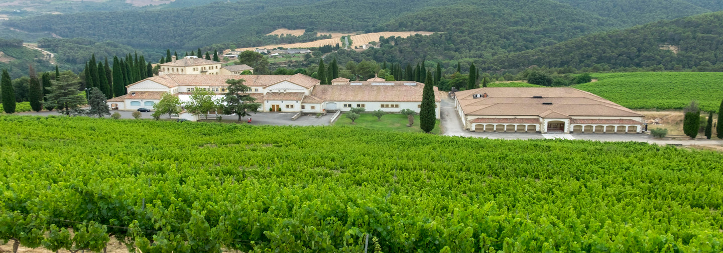 Senorio de Sarria vineyard
