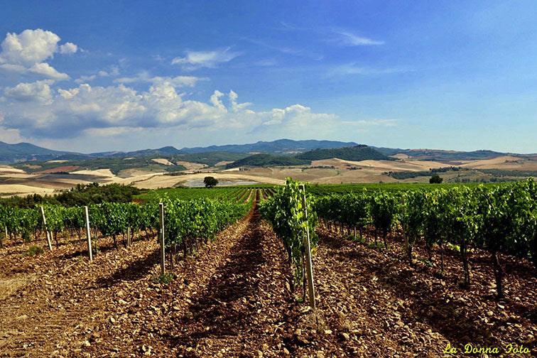 Corte Dei Venti Wines distributed by Beviamo International 