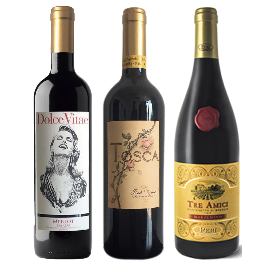 Red Wine Package* / 3-pack - Italian Wine Sales -Beviamo International - Houston, TX