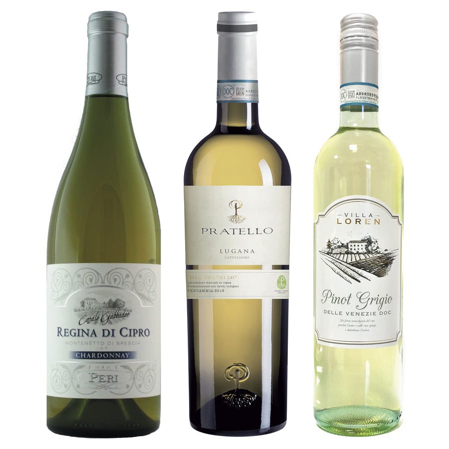 White Wine Package* / 3-pack - Italian Wine Sales -Beviamo International - Houston, TX