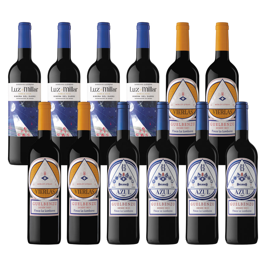 Red Wine Package* / Case - Premium Spanish Red Wine Party Pack - Beviamo International - Houston, TX
