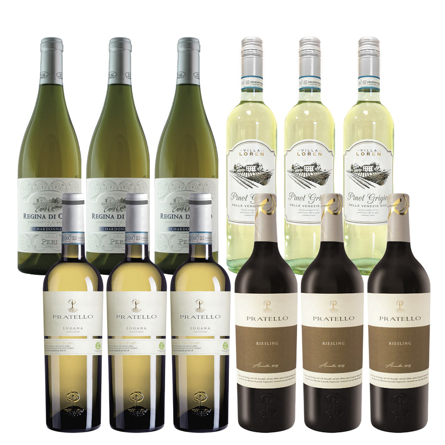 White Wine Package* / Case - Premium Italian Wine Party Pack - Beviamo International - Houston, TX