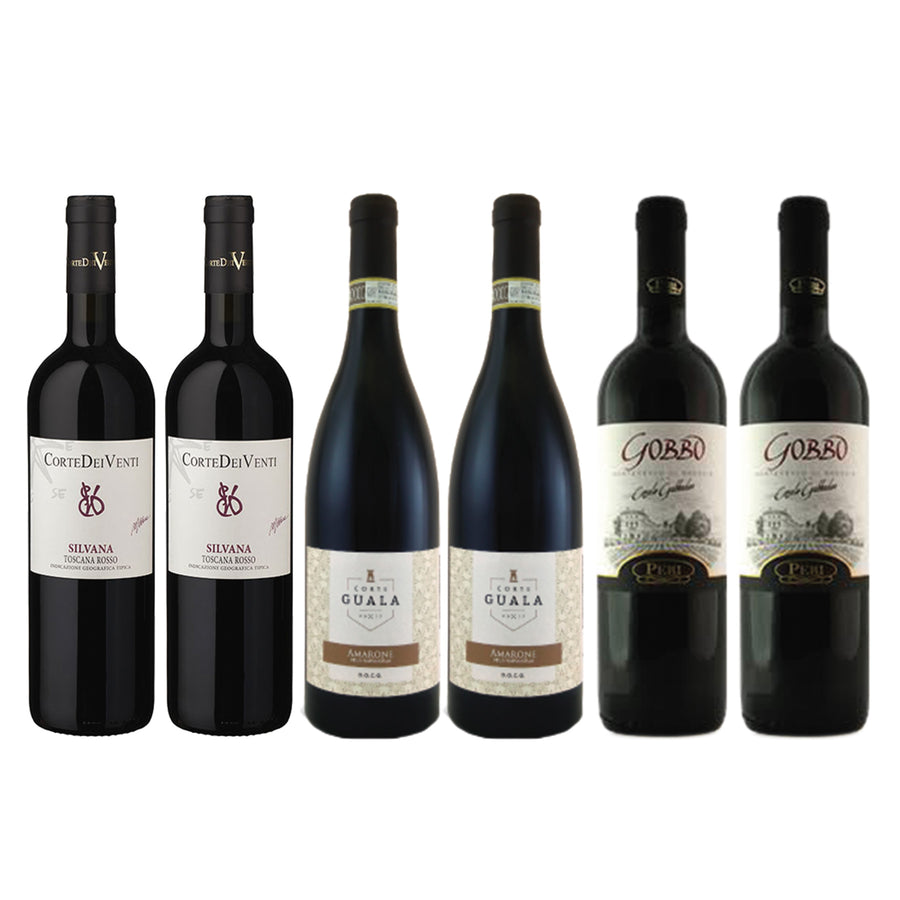  Wine Package* / Luxury 6-Pack - Italian  Wine distributed by Beviamo International in Houston, TX