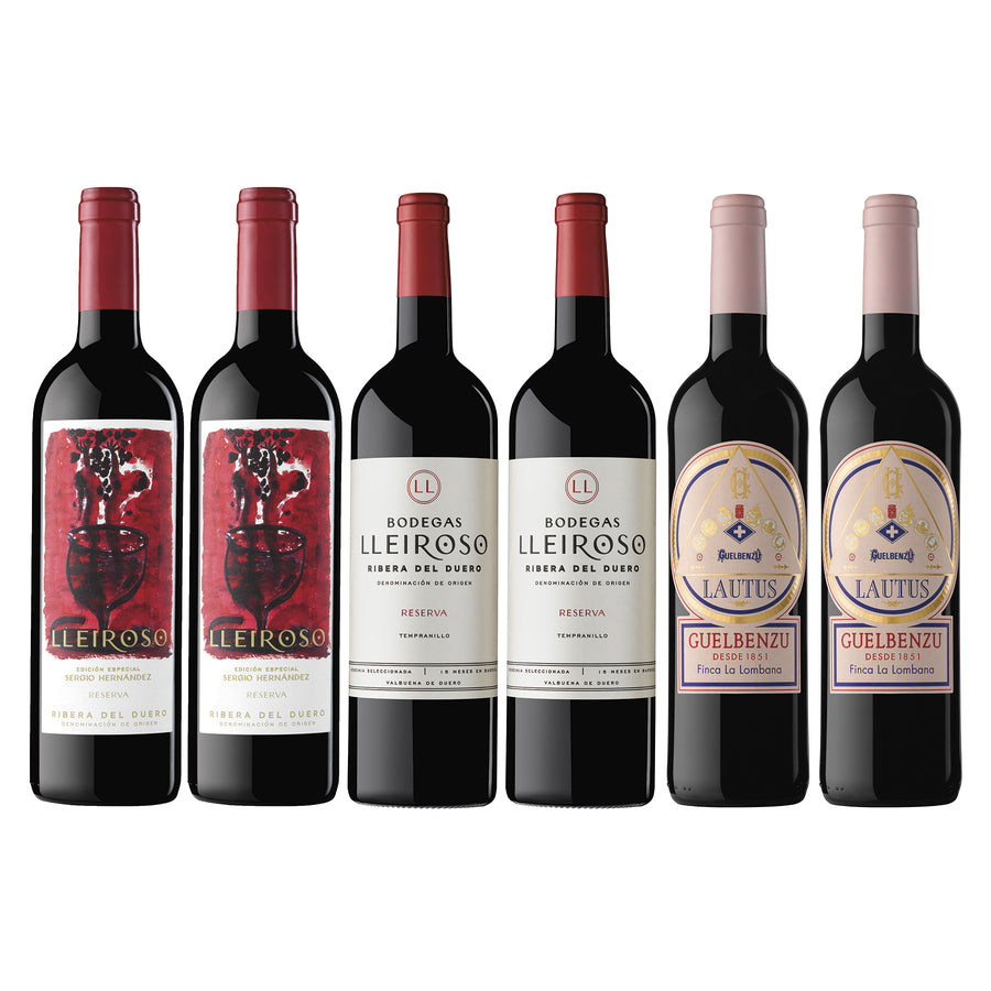  Wine Package* / Luxury 6-Pack -  Spanish Wine distributed by Beviamo International in Houston, TX