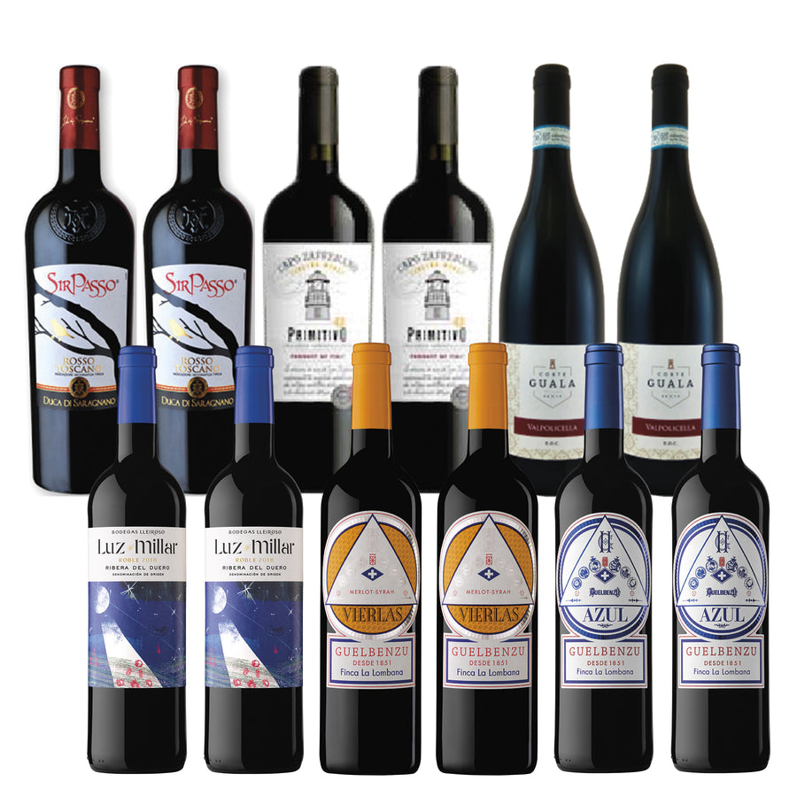 Red Wine Package* / Case - Premium Italian & Spanish Red Wine Party Pack - Beviamo International - Houston, TX